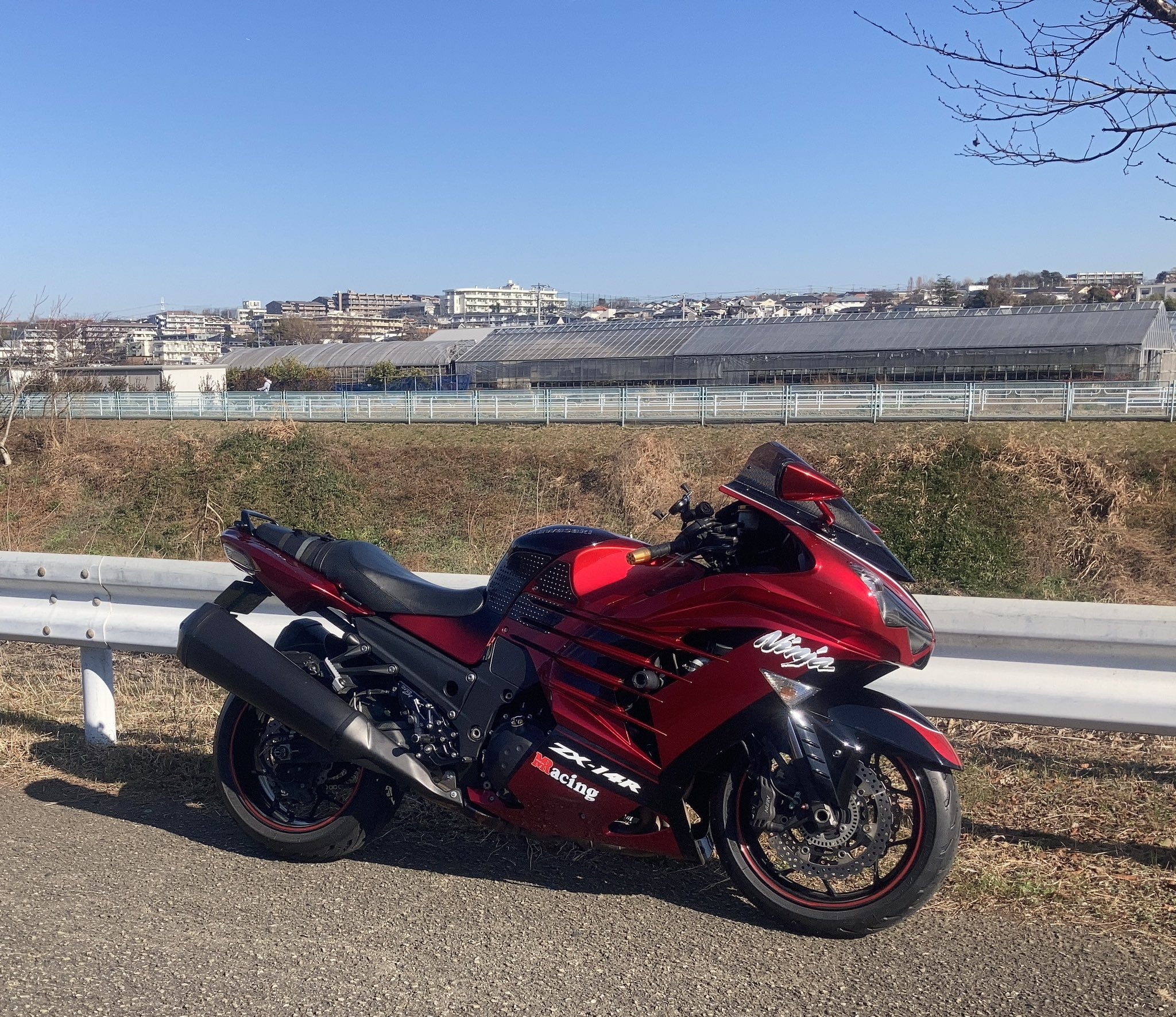 イギー(Rein)@オレンジ14R (@ZX14R_codig) / X イギー(Rein)@オレンジ14R (@ZX14R_codig) / X