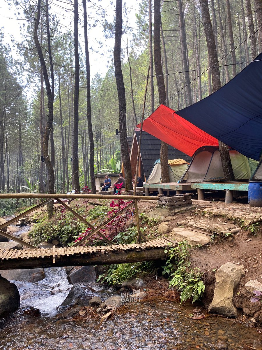 infogarut tweet media