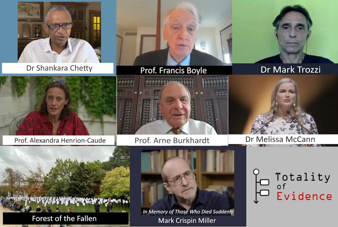 Latest timeline pages added to ToE - Historical record of interviews and more
totalityofevidence.com/resources/expe…