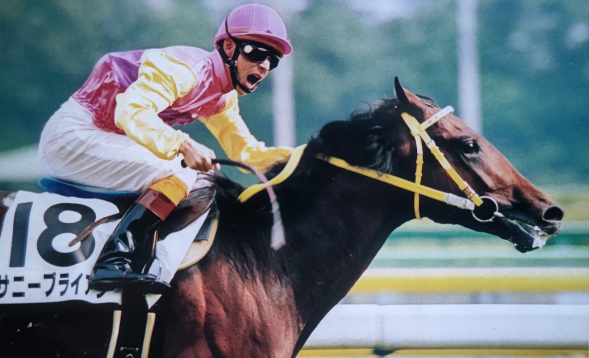 サニーブライアン　週刊100名馬　69 サニーブライアン 週刊100名馬 69 Amazon.co.jp: 週刊100名馬