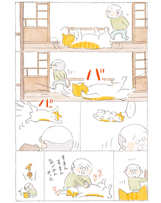 #ねことじいちゃん #2021年毎日が発見掲載 