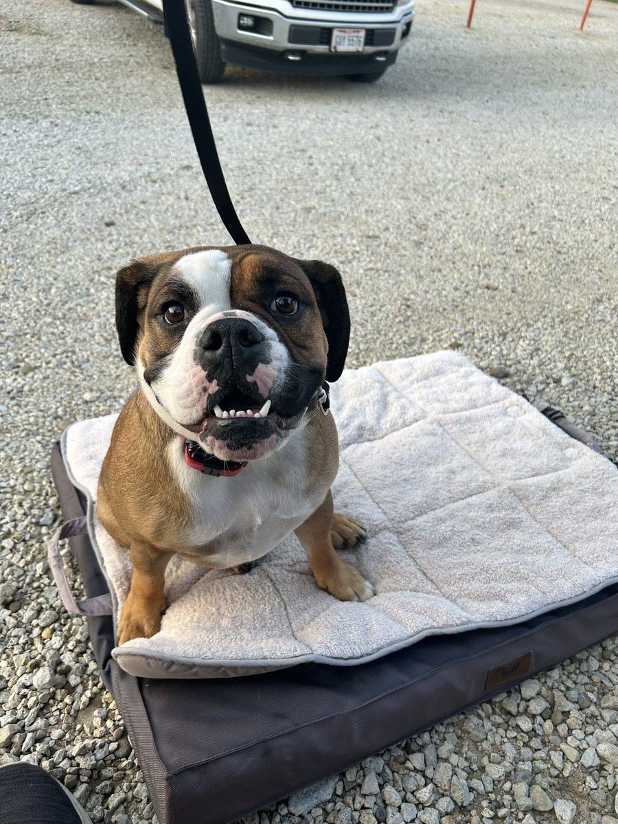 Tom Bratten tweet media