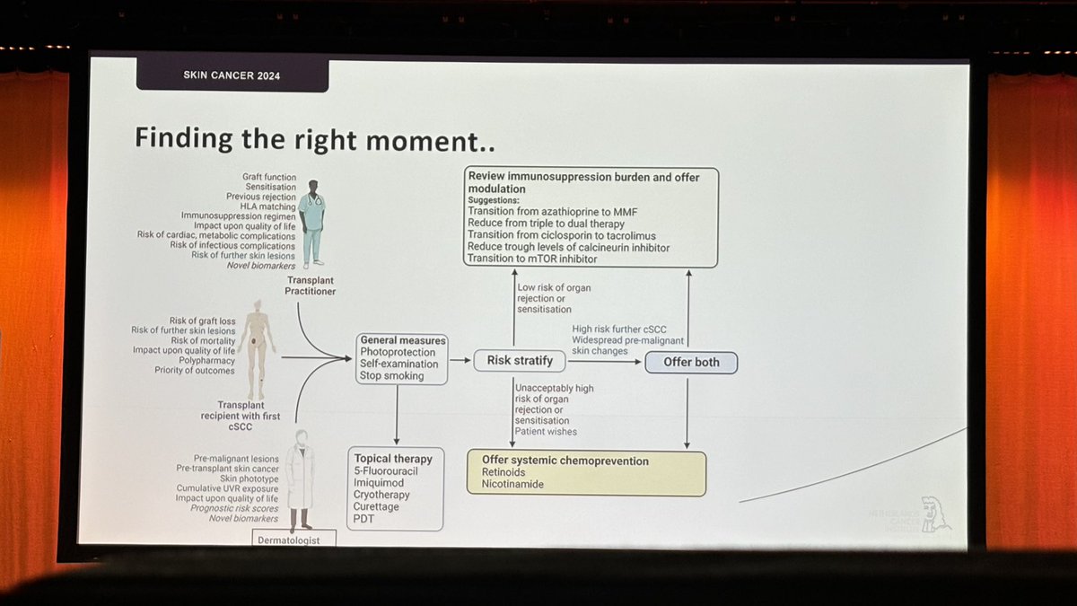 Interventions to reduce skin cancer in transplant patients need to come from all levels of care. Dr Elsemieke Plasmeijer #SkinCancer2024