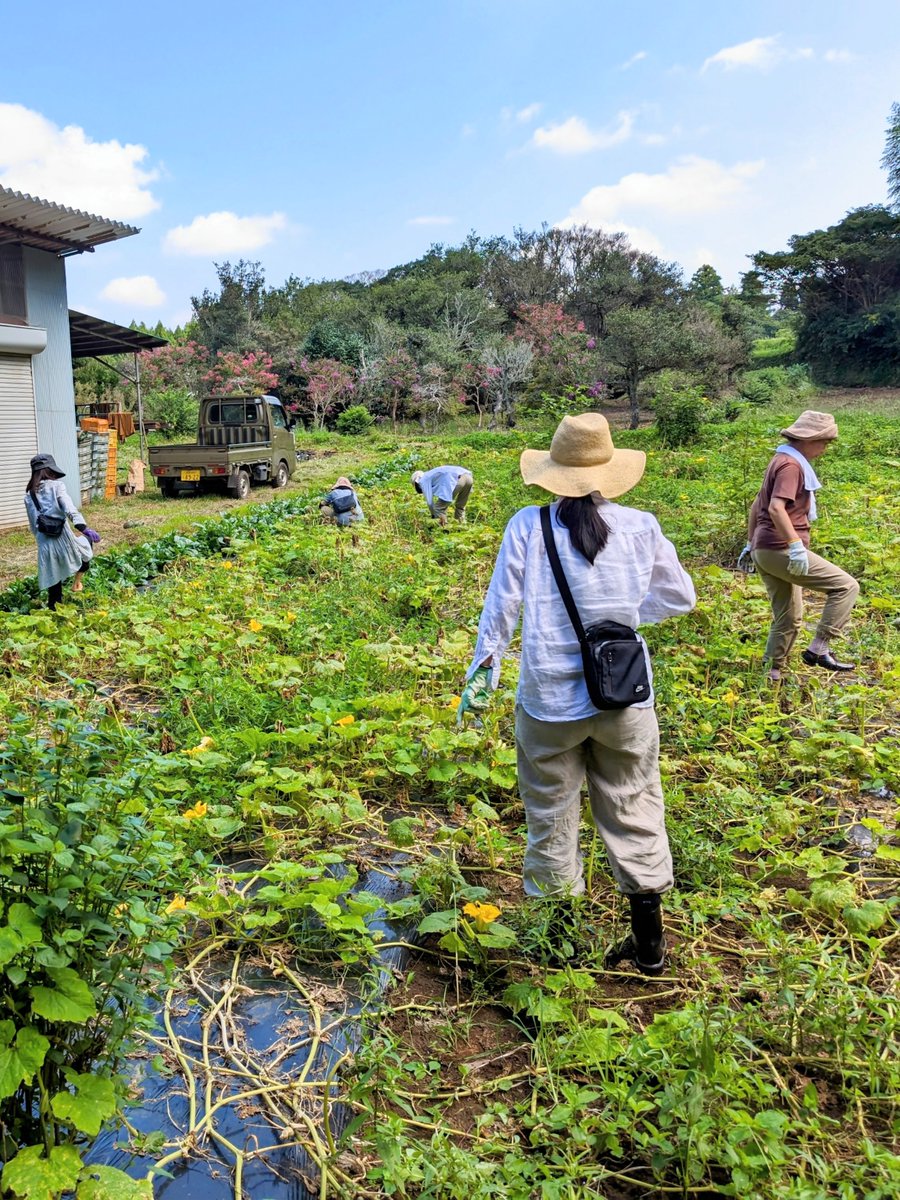 nh__harmony's tweet photo. #Farmtrip #不破孝太 #自然栽培農家 #農業体験 #農のある暮らし
【9/7 Farm Trip開催しました！】

9/7（土）に開催した「Farm Trip」に
ご参加いただいた皆さま、ありがとうございました！

このイベントでは自然栽培農家を営むフワさん
こと不破孝太さんとそのご家族の
「自然と調和した暮らし」を体験していただきます。

今回の農作業は、カボチャの収穫体験！
ヘタの部分をねじって収穫できるのでお子様も一緒に楽しむことができました。
9月なのに30度を超える暑さの中での作業でしたが、収穫後はフワさんが
育てたスイカを皆で食べました。
疲れた身体に染みわたりました✨

農作業が終わるとフワさんのおうちに内設するカフェ、
「East Farm kitchen」に移動し、バーベキュー＆ピザづくり体験をしました。

バーベキューでは焼いたお肉と自然栽培野菜と共に、
フワさんの奥さま、瑞穂さんお手製の料理を皆で食べました。
ジューシーなお肉と採れたての野菜は最高に美味しかったです！！

バーベキューを堪能した後は、こちらも瑞穂さんお手製の
ピザ生地に好きな野菜、ウインナー、チーズを乗せてピザづくりをしました。
フワさんが石窯でピザを焼いてくれて、出来立てのピザを楽しみました。
ハチミツと庭で採ってきたブルーベリーを乗せたデザートピザもありました😊

自然に囲まれて、豊かに暮らすフワさんファミリーの暮らし、
きっと楽しんでいただけたと思います！

次回は11月9日（土）です！
内容は畑のお世話と、新米ランチ＆稲わらリースづくりを予定しています！
ぜひみなさまのご参加を心よりお待ちしております。

■詳細・お申込みはナチュラル・ハーモニーWebサイトの「イベント」よりご確認下さい。
https://t.co/JqmkLLvNDZ