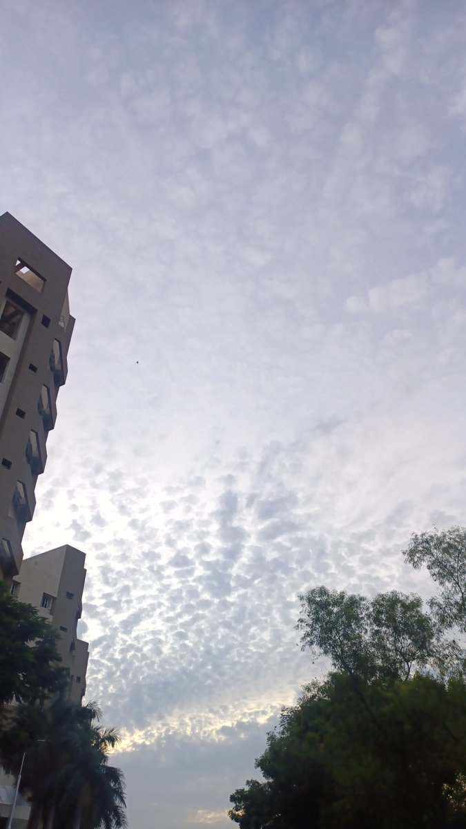 xcoder23's tweet image. Vellore skies