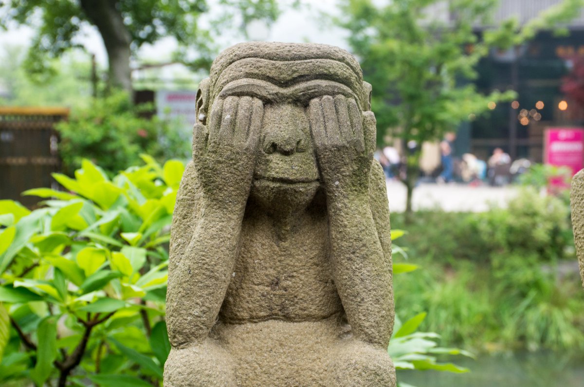 行者的视界 tweet media