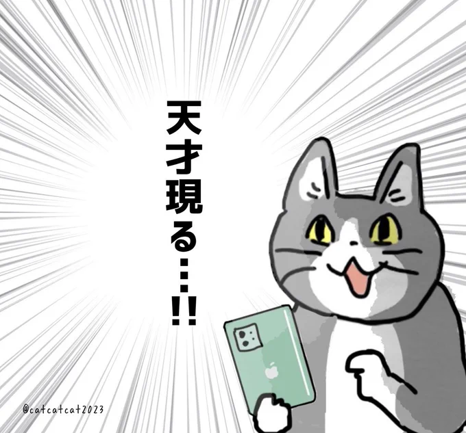 @tommymoka9 