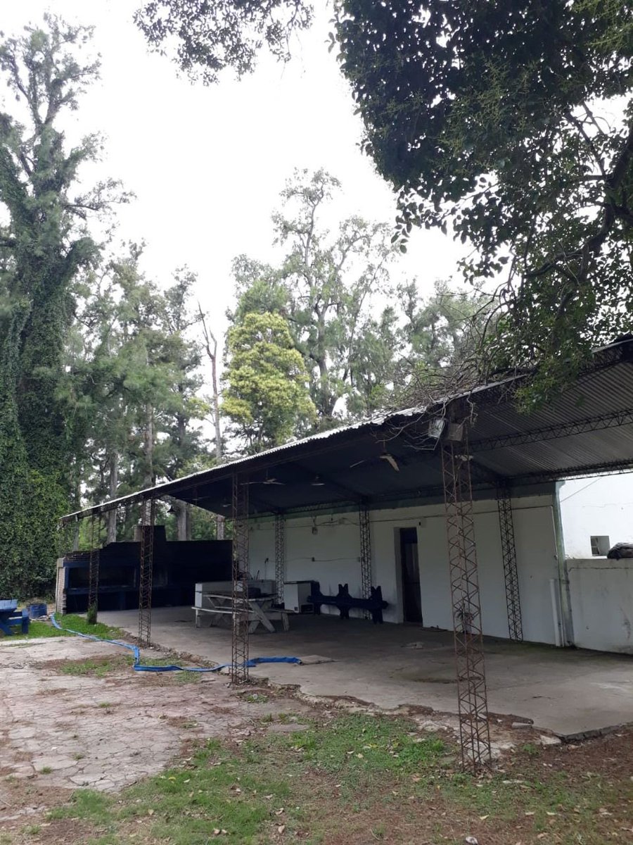 Club de Gimnasia y Esgrima La Plata tweet media