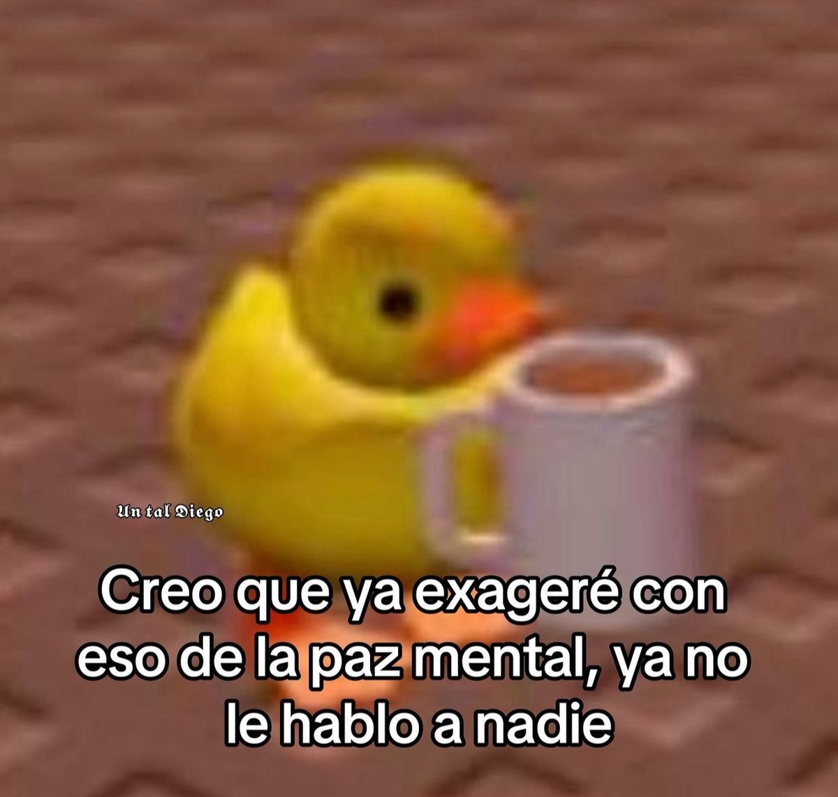 Guarromantico_'s tweet image. Creo que exageré.