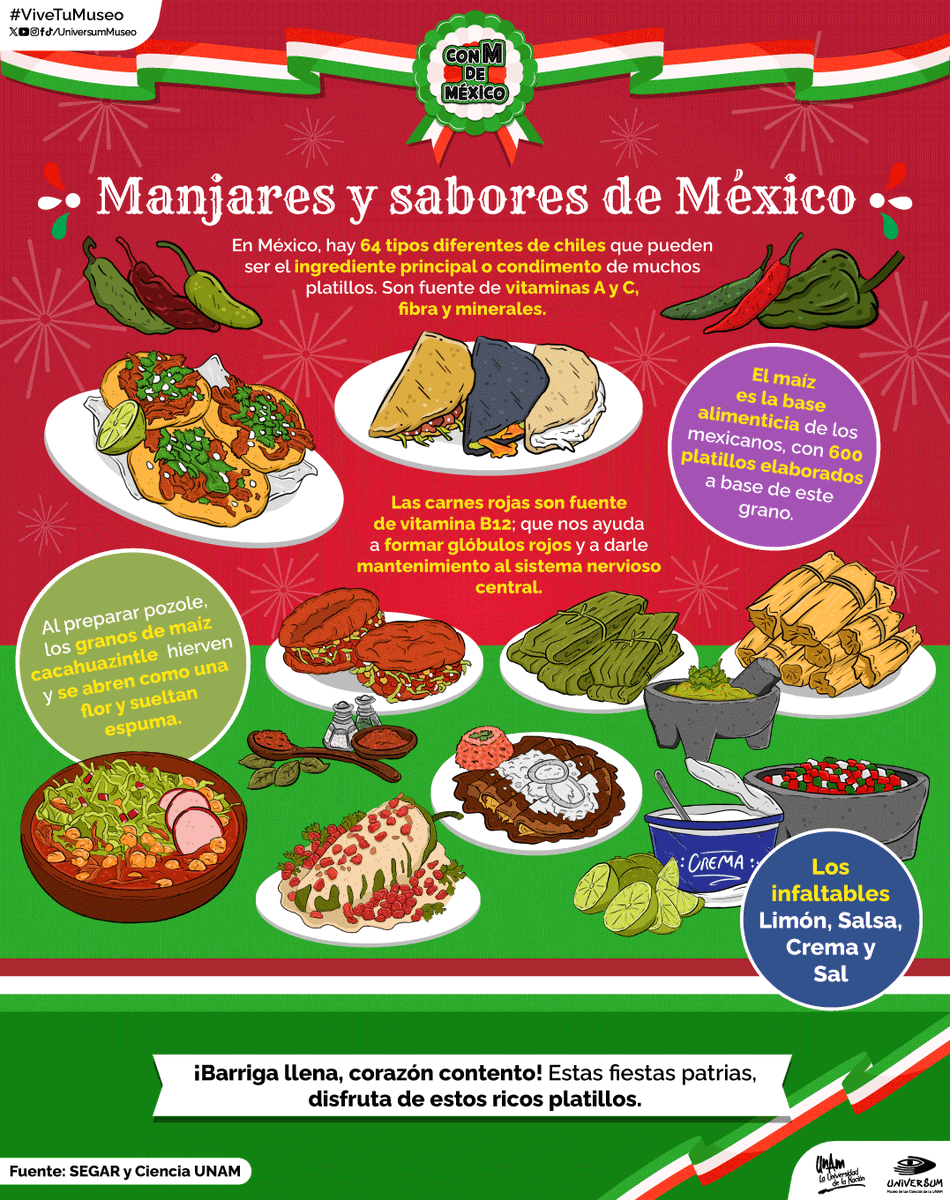 UniversumMuseo's tweet photo. De chile, mole y pozole 🇲🇽😋

Descubre los increíbles sabores de la gastronomía mexicana #ConMDeMéxico 🟢⚪️🔴👇

#ViveTuMuseo https://t.co/tTEA5kzuDu