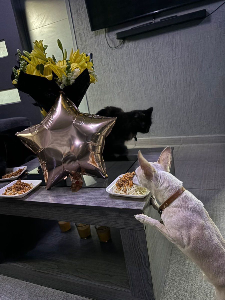 💗🎶🥳🎂#HappyBirthdayTami Al igual que tu hermano no sé que día llegaste a este 🌎 pero si que día llegaste a revolucionar el mio llenándolo de amor y pelitos. #AdoptaNOcompres