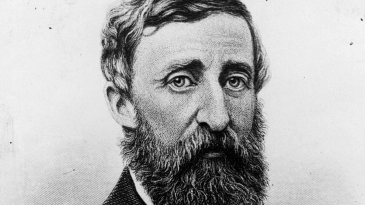 Poetic Outlaws tweet media