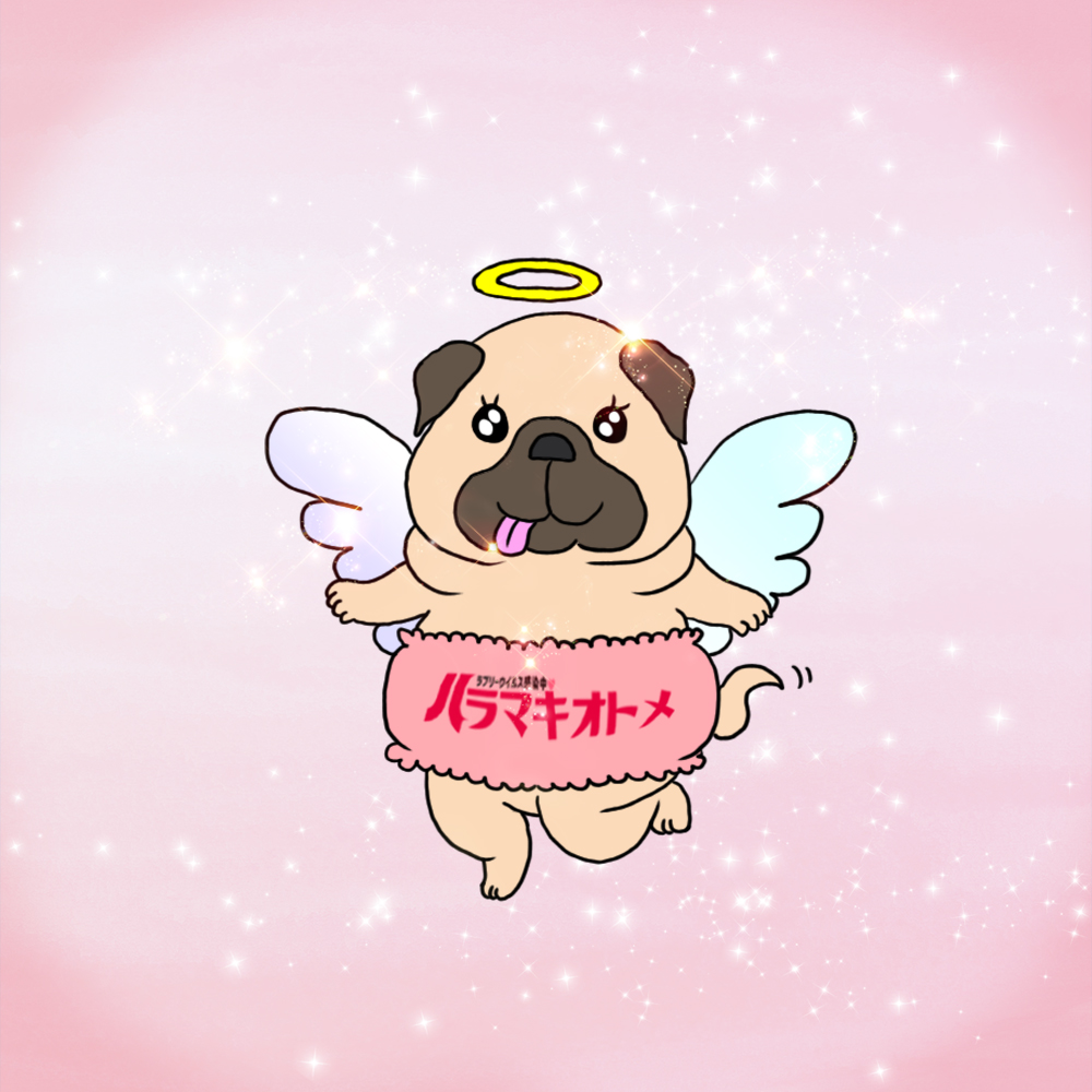 9月はわが子が透明になった日がある月
元気にしてるかな？

#パグ #ハラマキオトメ