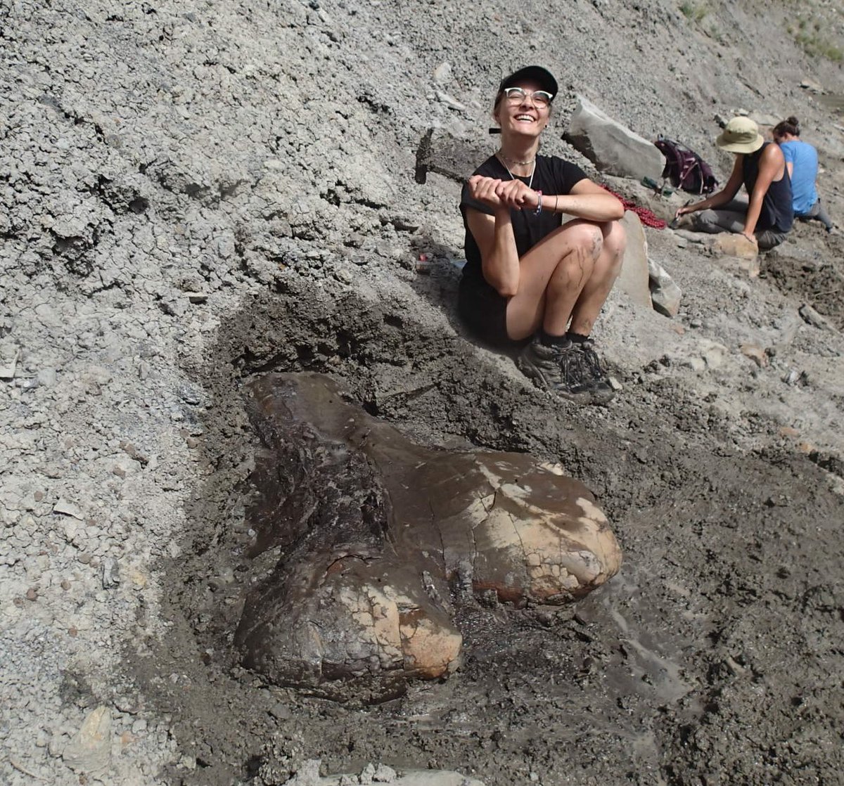 EL_Bamforth's tweet photo. #FossilFriday! One of the late #Cretaceous #fossil sites we worked this summer had some monstrous #hadrosaurs. This was a #femur of a big 'en! #livefromthefield @CurrieMuseum https://t.co/r4PqRGfP7O