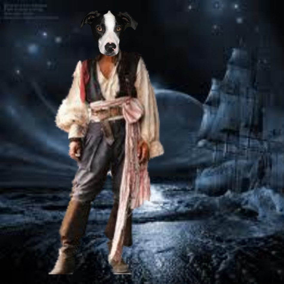 PuppyNumber7's tweet photo. @jerry_tuxedo @PeytonReads @HealingPurrsPaw Am totally impressed, Jerry ... I was a pie-rat but it was many, many years ago *faraway eyes* I an old married fambily angel dog now #settledDown Happy adventures! #HealingPurrsPawty https://t.co/lWYUB8LhWV
