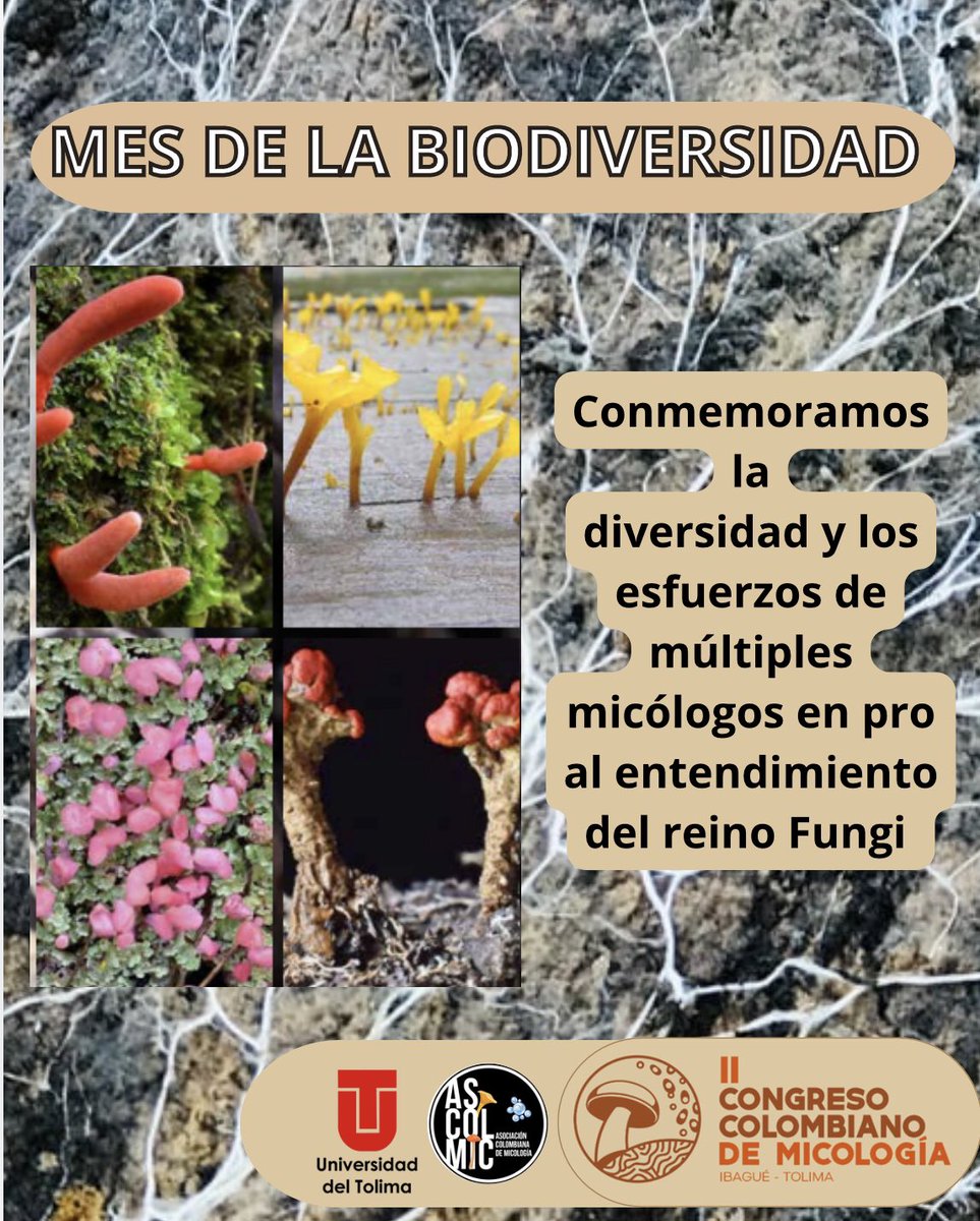 Septiembre mes de la #Biodiversidad #COP16Colombia #Hongos #Mushroom #IICCM