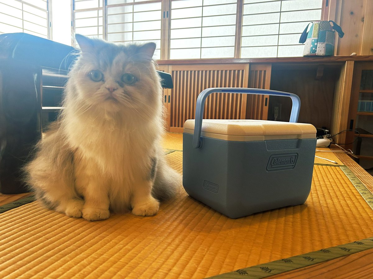 hmhmhamaguri's tweet photo. ハードクーラーとはまちゃん https://t.co/gz1AKXeQ4d