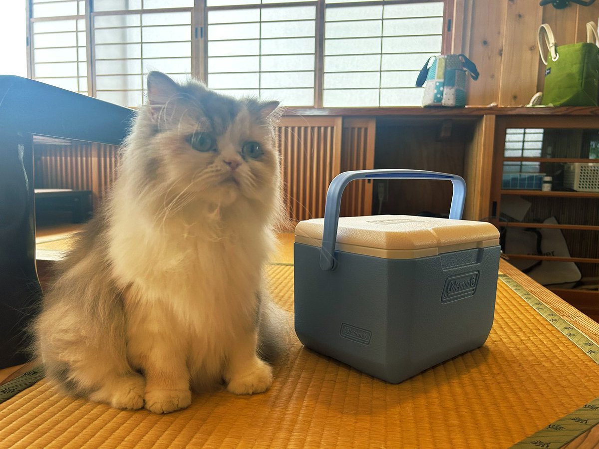 ハードクーラーとはまちゃん