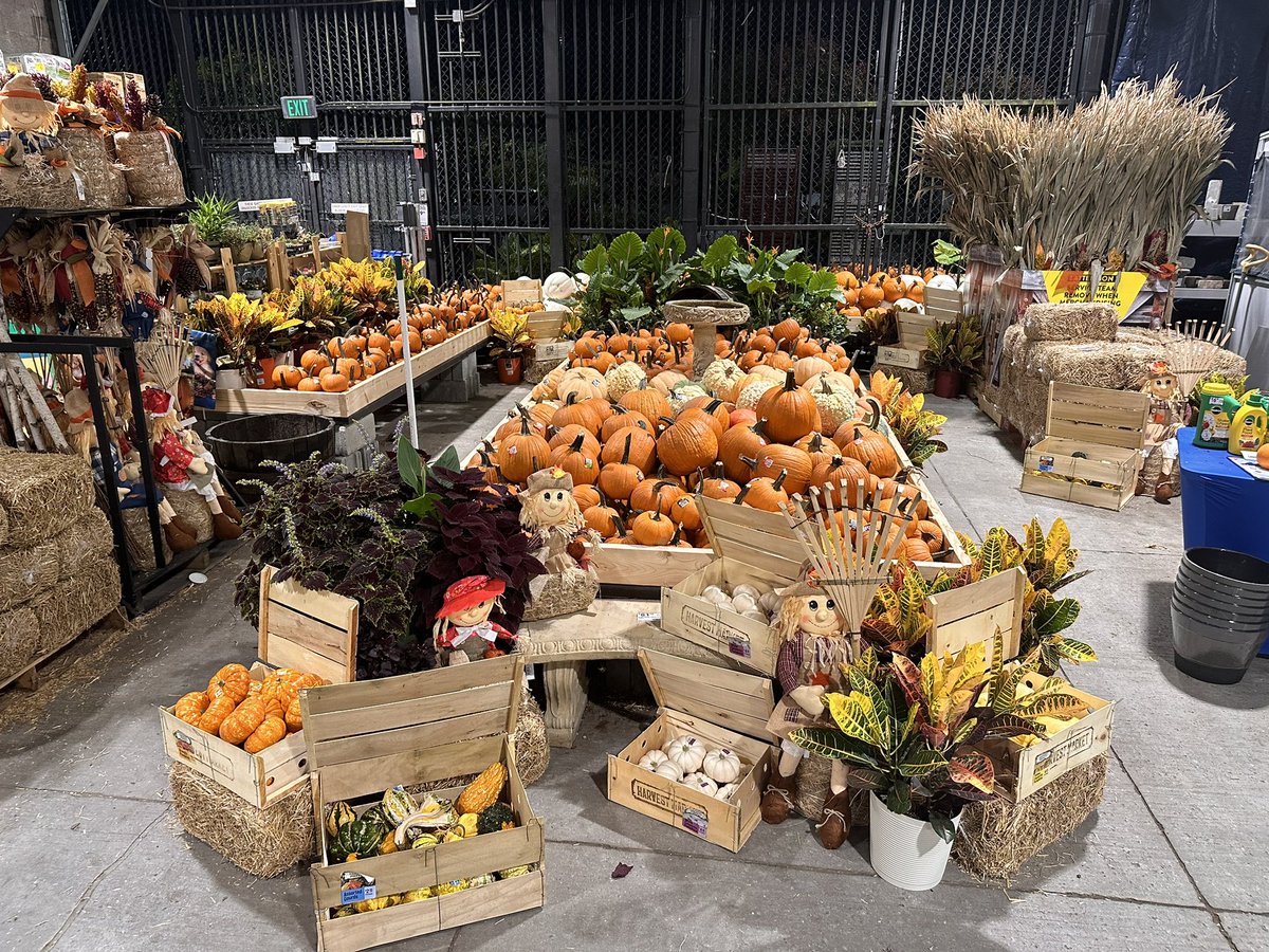 mike cognazzo tweet media