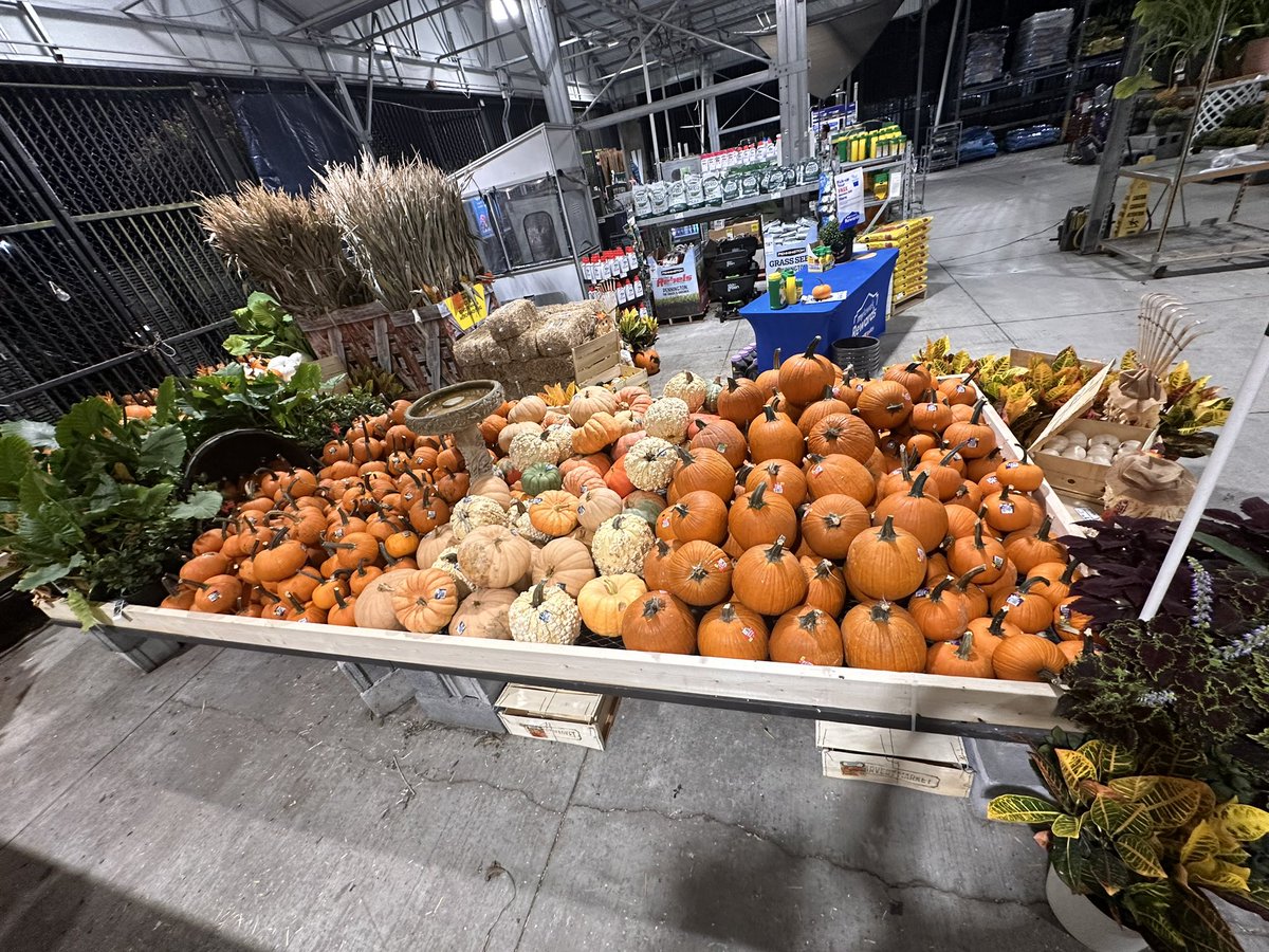 mike cognazzo tweet media