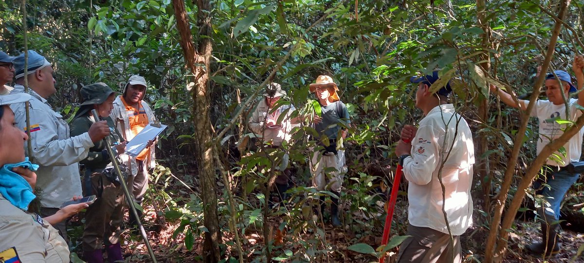 clquintanam's tweet photo. Taller con técnicos del MAE para establecimiento de parcelas permanentes en el Parque Nacional Yasuní https://t.co/Xv8pQowmWg