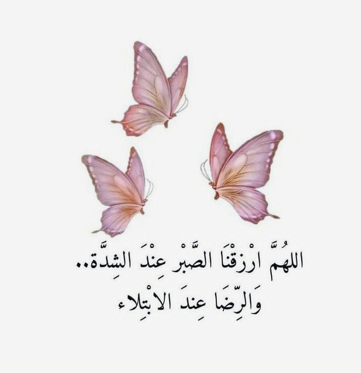 اللهم ارزقنا الصبر عند الشدة 
والرضا عند الابتلاء 
#صباح__الخير
