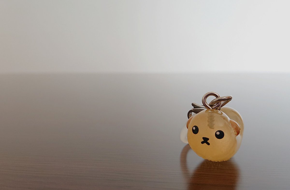 hokiyanhokiyan's tweet photo. カシューちゃんお迎え #豆しば https://t.co/991kM1EBKJ