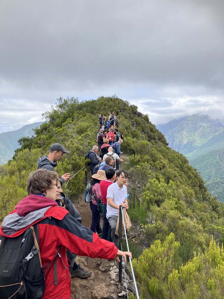Admiring a view of tall heath scrub at the mid-conference excursion, in Madeira  @iavs2024