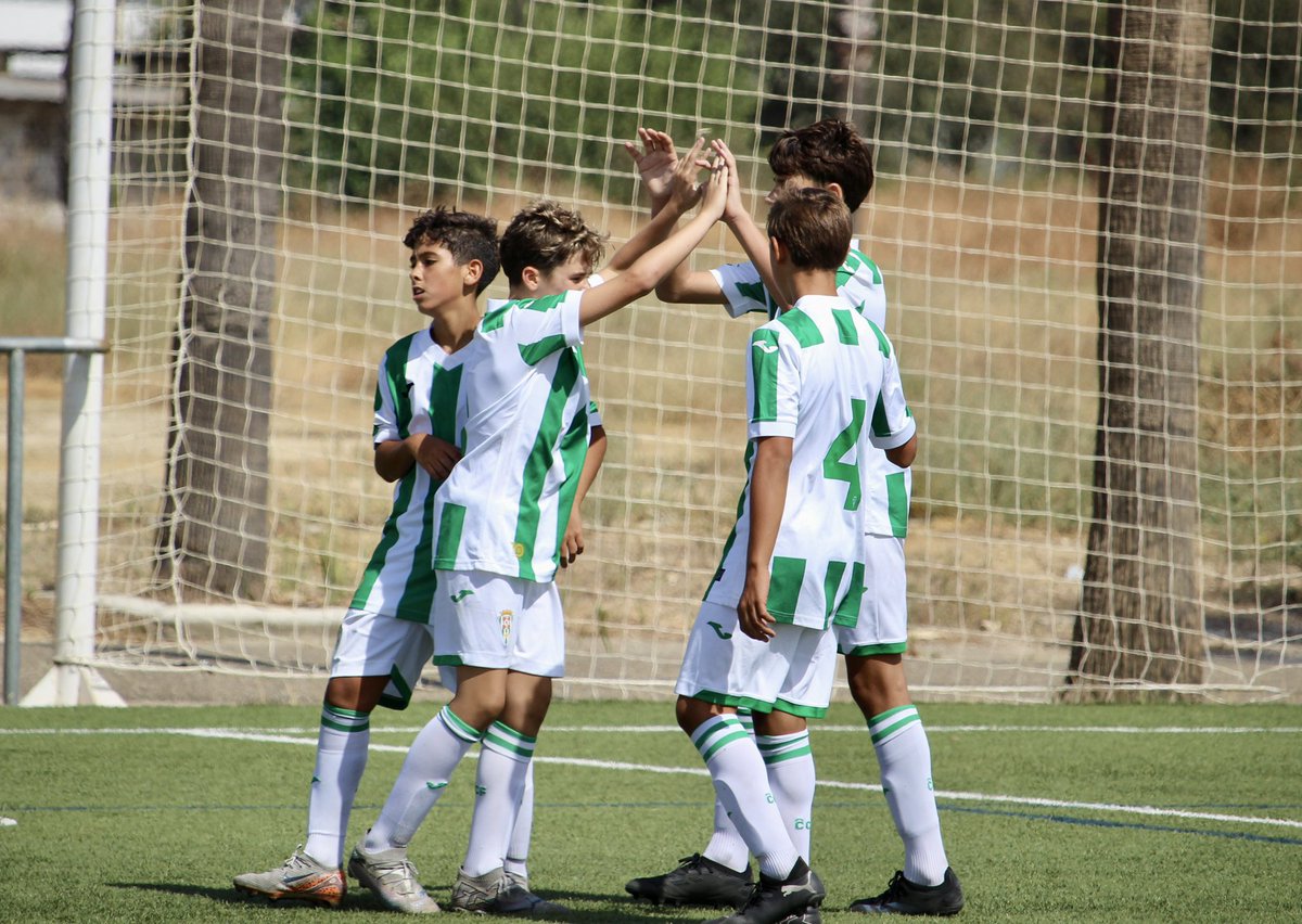 Cantera_CCF's tweet photo. ๐ ๐๐๐ก๐๐ โคต๏ธ
๐ 2a Andaluza Infantil
๐ #InfantilBCCF 3 -AFE 0
๐ #CanteraCCF https://t.co/DhtwMt6dBE