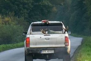 Trwa rykowisko w Puszczy Karpackiej 🦌 Jeden z najpiękniejszych spektakli przyrodniczych w Polsce. 
Niestety, zakłócają go mordercy jeleni zwani "myśliwymi". Dołącz do nas w Karpatach, nie pozwól mordercom jeleni bezkarnie hulać po lasach 🦸‍♀️