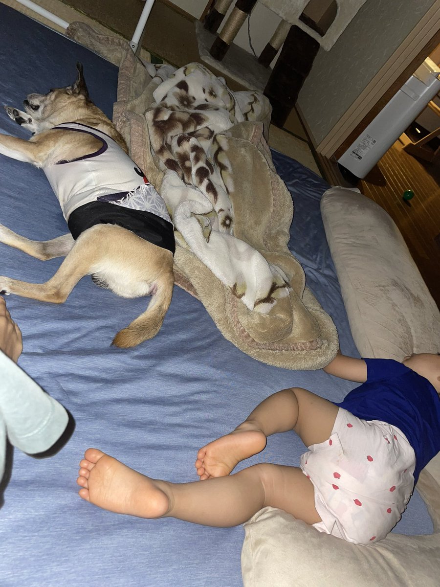 るー@game tweet media