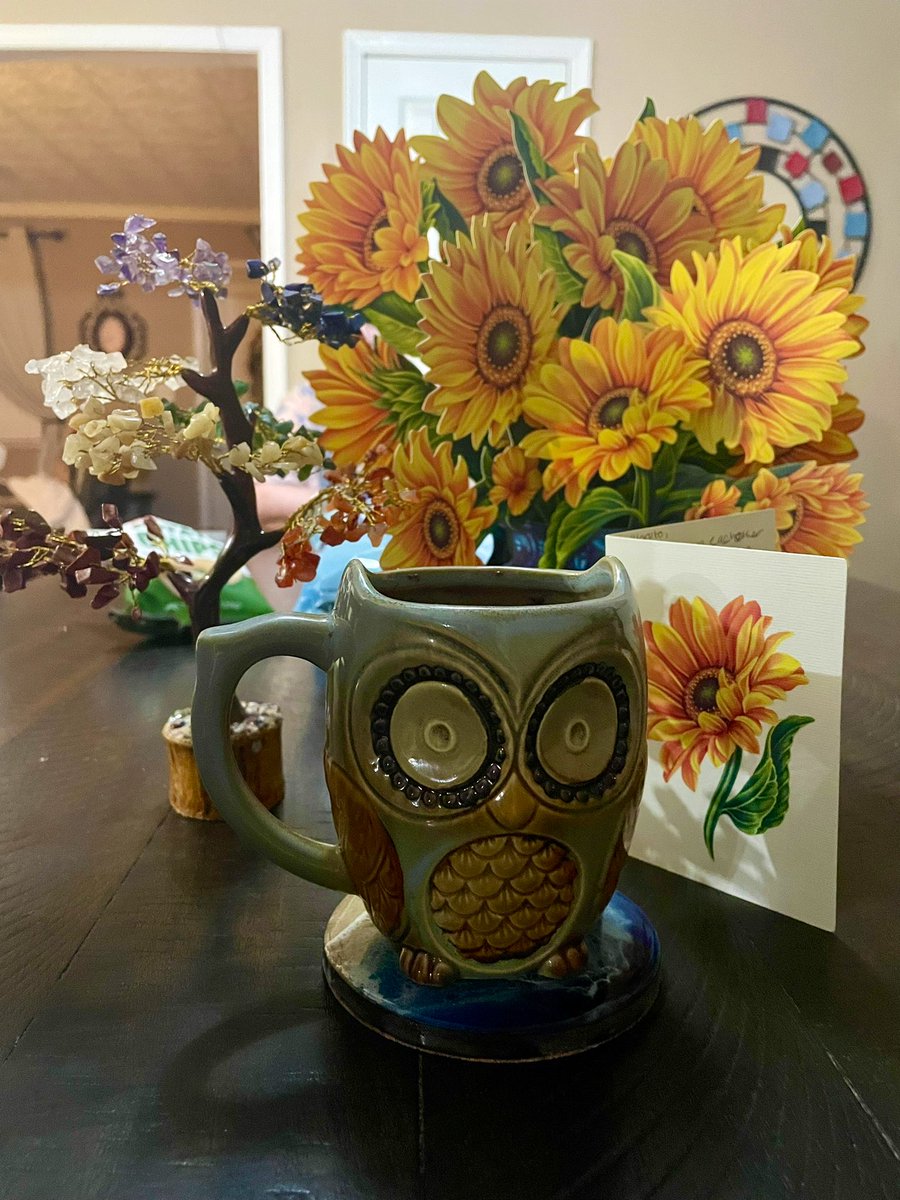It’s my 32nd birthday today! So thankful for a life full of love, laughter, found family and friends. <a href="/aquarterghost/">Ian</a> got me the owl mug for my birthday years ago, and He continues to give me such beautiful memories, every day. Love you all. #Birthday #proudowlcrafts #love 🌈🦉🧶