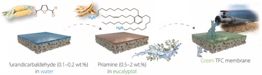 irshad172's tweet photo. Do you know that biobased monomers can be used to produce Green TFC membranes with excellent brine separation performance? Here, you can read all about them:
https://t.co/ERUojlD6Sc
Thanks to @SzekelyGroup, @AMPM_KAUST, @KAUST_News, @KaustResearch.
#sustainable #membranes https://t.co/ydGAo2iTOf