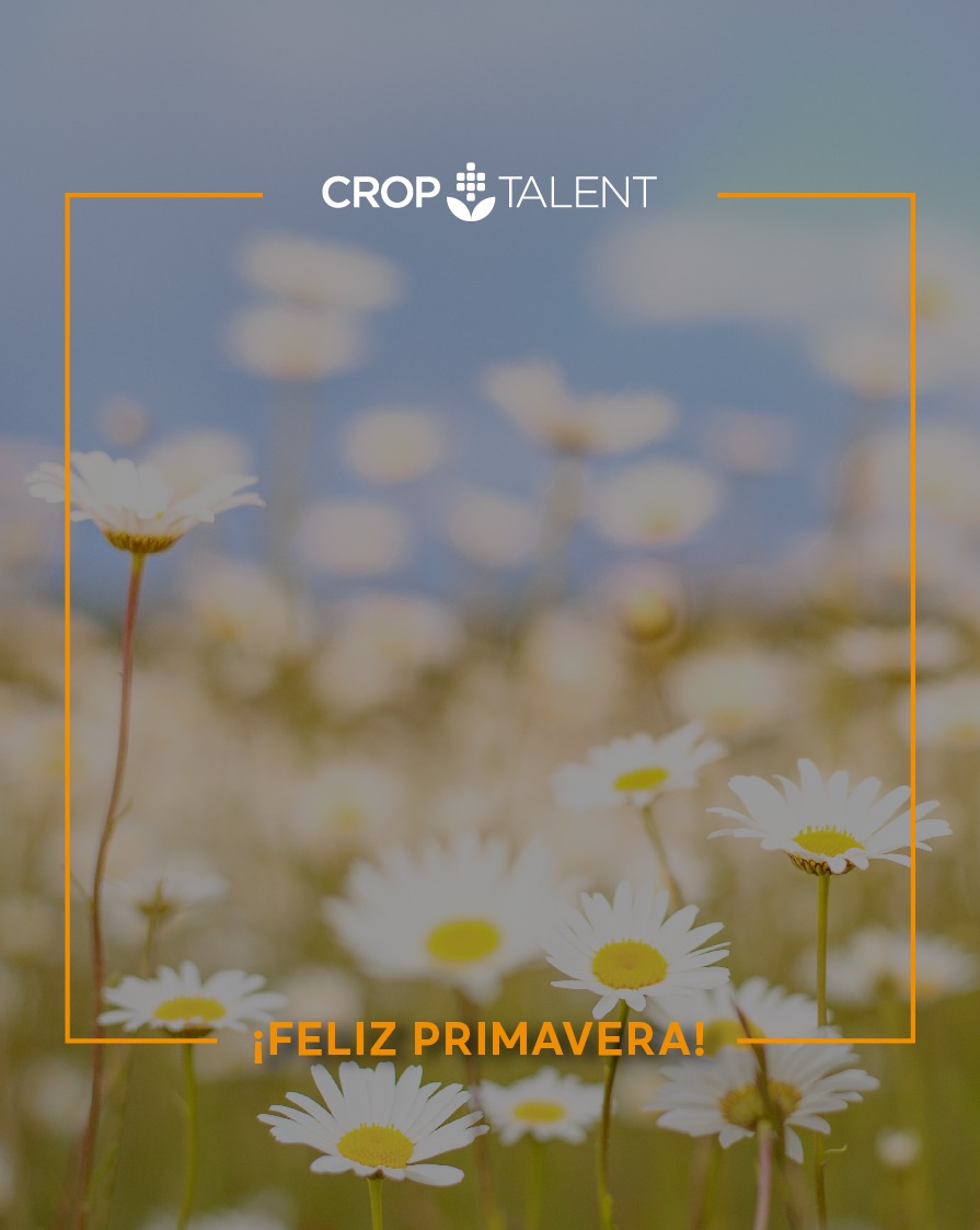 ¡Feliz primavera!