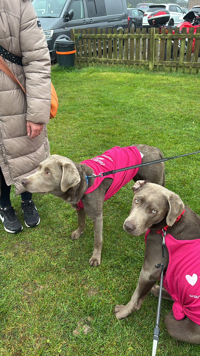 Northern ODST (@northernodst) on Twitter photo Keeping everything crossed that the weather clears and #redskyfoundation gets to skydive in recognition of organ donation & transplantation. <a href="/NHSBT/">NHS Blood+Transplant</a> <a href="/NHSOrganDonor/">NHS Organ Donation💗🫀🫁</a> #organdonationweek2024 Keeping everything crossed that the weather clears and #redskyfoundation gets to skydive in recognition of organ donation & transplantation. <a href="/NHSBT/">NHS Blood+Transplant</a> <a href="/NHSOrganDonor/">NHS Organ Donation💗🫀🫁</a> #organdonationweek2024