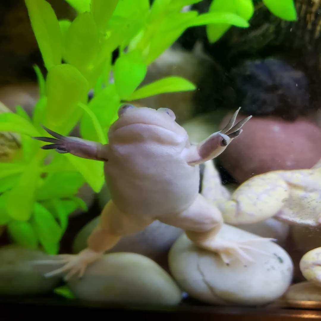 kelsey wailes🐳 tweet media