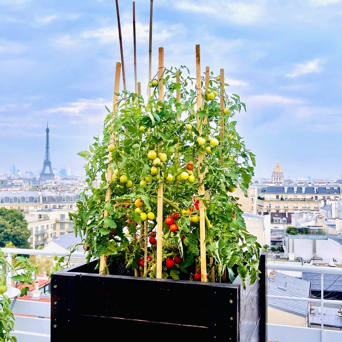 Reptos 🍺 tweet media