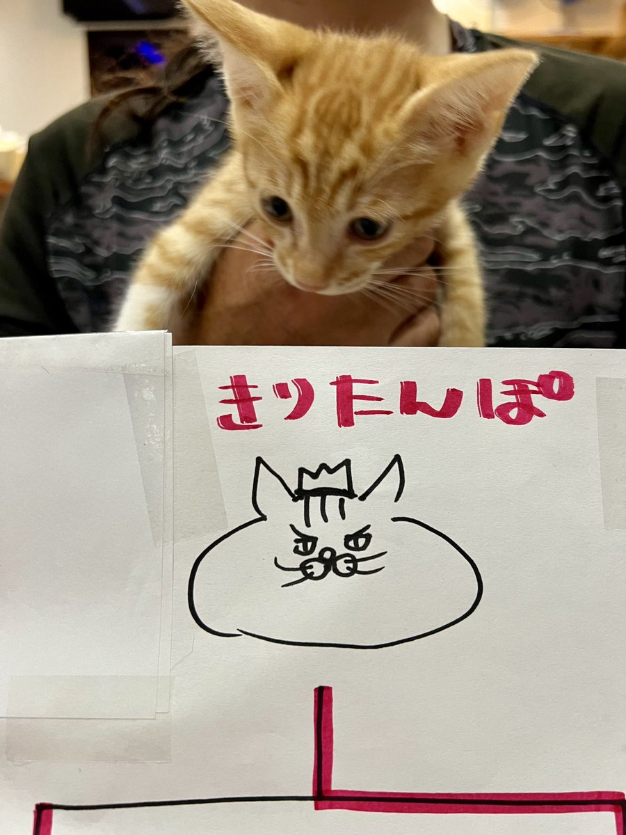 omochi_nam01's tweet photo. 「 きりたんぽ 」になったよ！！！！ 皆さん、トーナメントを楽しんでくれてありがとうございました～！！ https://t.co/VfE3Jq4aw1