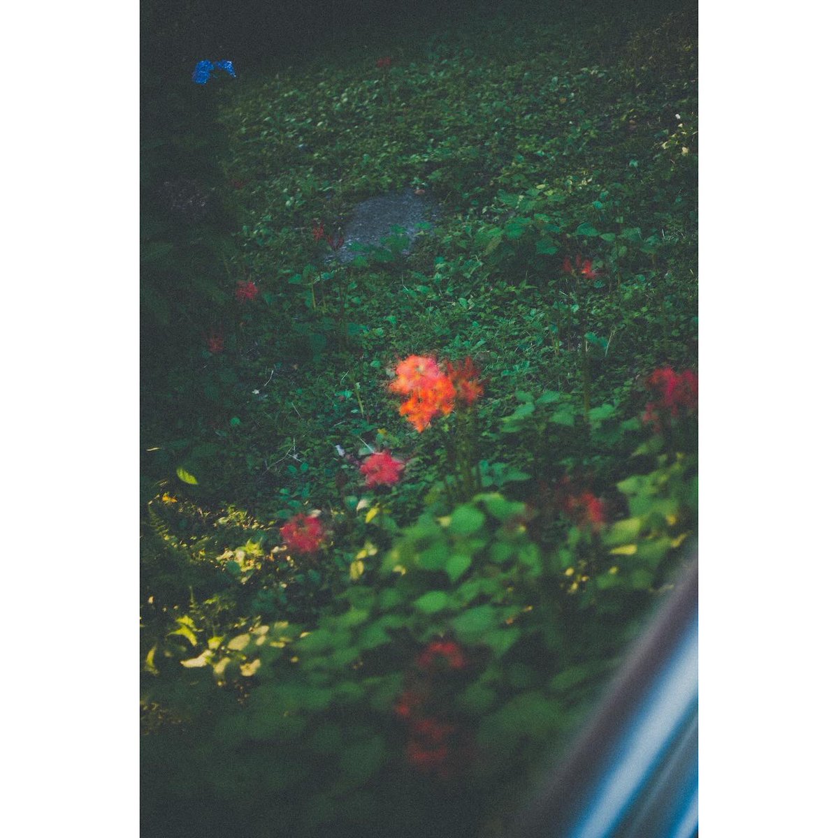 Mori (@cooom_1525) on Twitter photo 