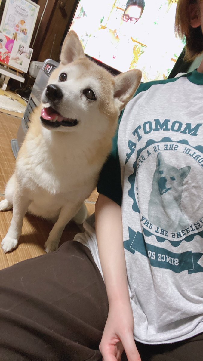 ももたろT着てるの嬉しすぎて今日ずっと半袖で過ごしてたのわんぱくだな