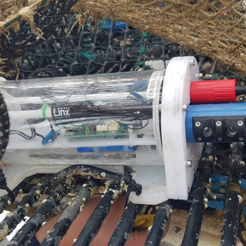 Cisco's tweet image. Learn how smart tech is teaching us about our oceans, one catch at a time from Cisco SVP Global #Innovation Officer @guydiedrich  🌊 cs.co/6015onnFN  #CiscoCDA