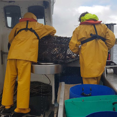 Cisco's tweet image. Learn how smart tech is teaching us about our oceans, one catch at a time from Cisco SVP Global #Innovation Officer @guydiedrich  🌊 cs.co/6015onnFN  #CiscoCDA