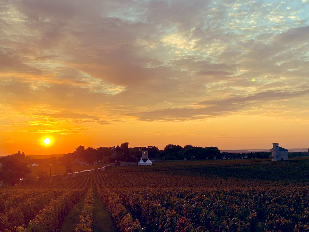 Arriving in the vineyard of the Clos Vougeot this morning for the harvest #afgros #harvest24 #Burgundy