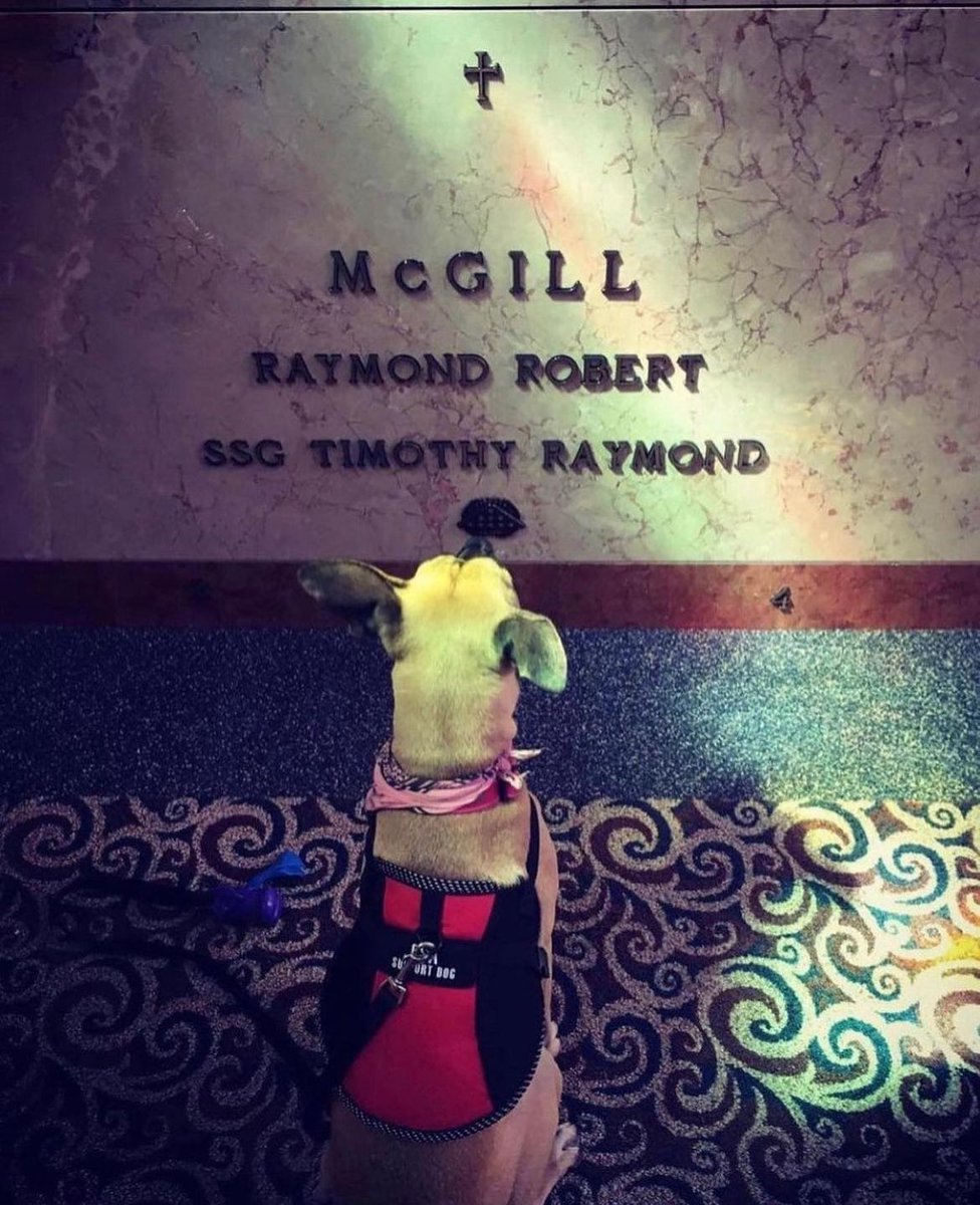 op_hawkeye's tweet photo. 9.21.2013 ~ SSG Timothy McGill ๐บ๐ธ
#OpHawkeyeRemembers #TimothyMcGill #USMC #RINationalGuard #19thSFG #BronzeStar #PurpleHeart #DeOppressoLiber
๐ https://t.co/R8aBM9c9Pr
๐ https://t.co/wM4BY95KkG
๐ฐ https://t.co/D5hRui3qhe
๐ฅ https://t.co/OOseZD1AIO https://t.co/kUCuiarFkO