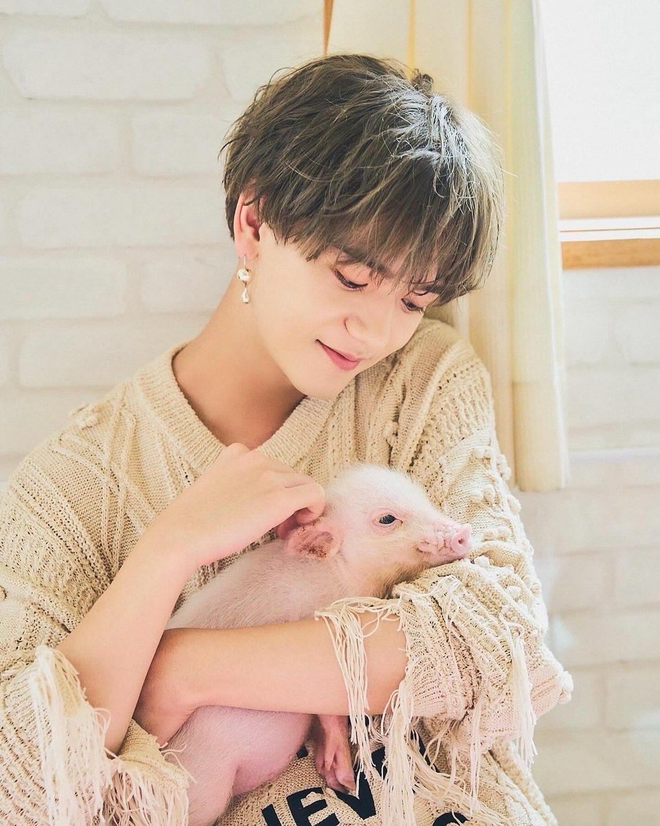 nakajima_1st's tweet photo. あのね、可愛すぎた。🐖

@JUNON_jp 

本日発売！！
個人連載、今回は🐖ちゃんと！

癒されたわぁ〜🤦🏻‍♂️
みて！この集まり！笑

そた https://t.co/66dXP9QDso