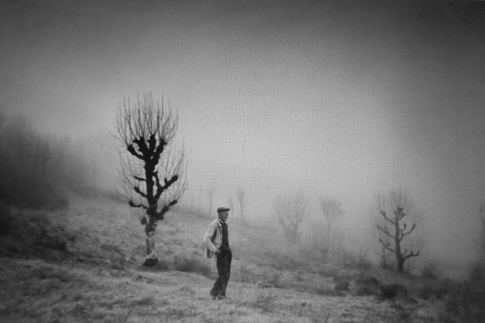 egomduc's tweet image. Pelote de fils sur la ruralité à prendre par le bout qu'on voudra🍃
Je pose ça modestement dans la tempête numérique, qui sait où cela essaimera.
Au stade où nous en sommes nous n'avons de toute manière plus guère que le temps d'échanger à perdre, pour espérer en regagner...