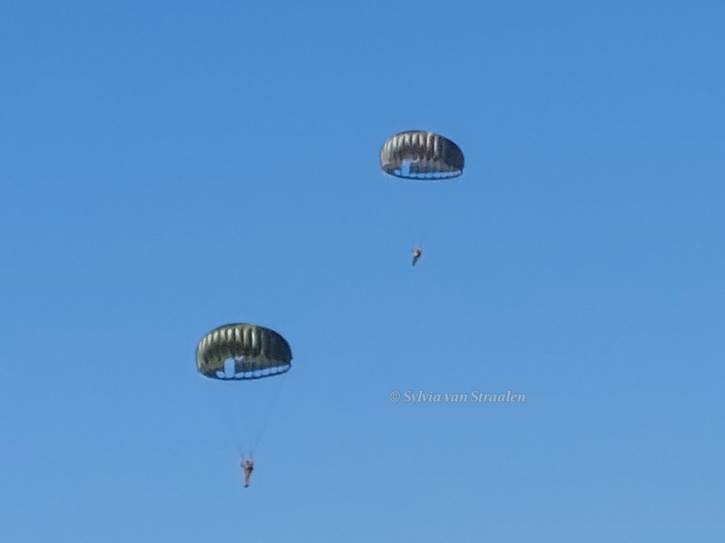 siarella99's tweet image. De eerste sprongen zijn gemaakt in de #dropzone bij de #herdenking #MarketGarden80 op de Ginkelse heide bij #Ede. De eerste groep parachutisten kwamen vanuit een #Dakota #DC3 die ook in 1944 vloog. #airborne #LestWeForget #OpdatWeNietVergeten