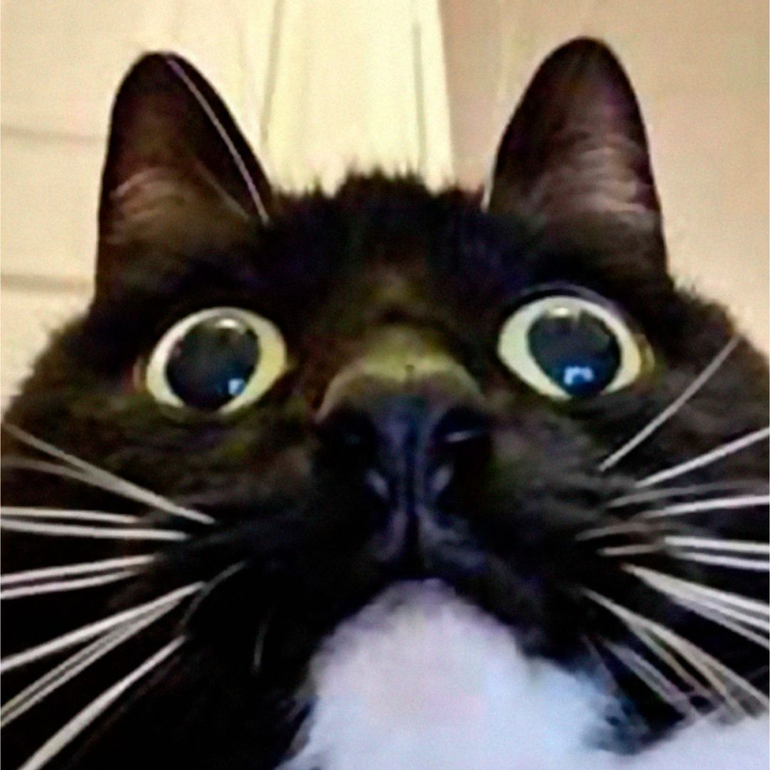 Watching the charts even on weekends 👀