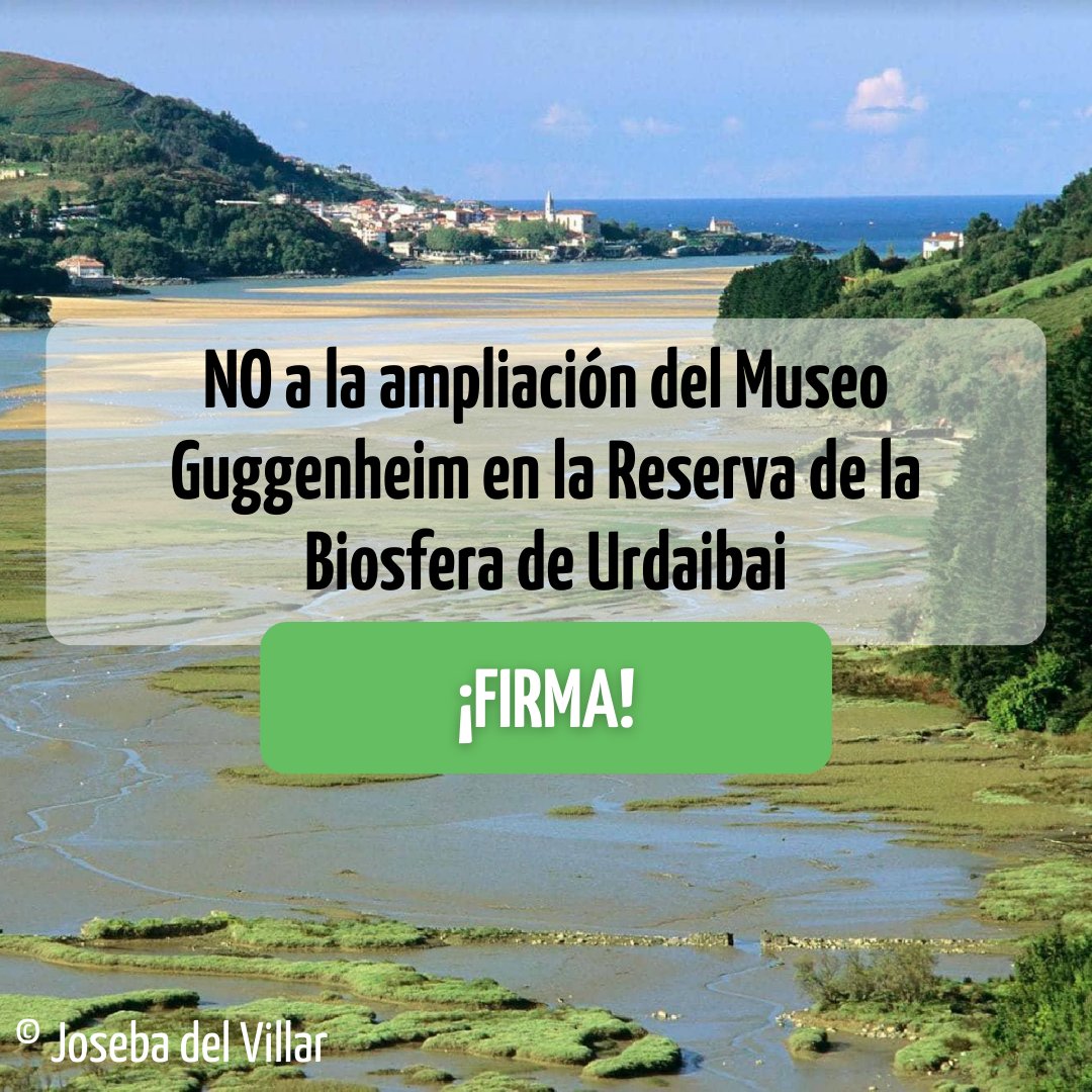 ❌Seguimos recogiendo apoyos para evitar 2 nuevas sedes #Guggenheim en la Reserva de la Biosfera de Urdaibai.❌

¡No podemos permitir que pongan en peligro esta joya del patrimonio natural! 🦅🌿🦆

✍️FIRMA nuestra petición: seo.org/urdaibai-en-pe…