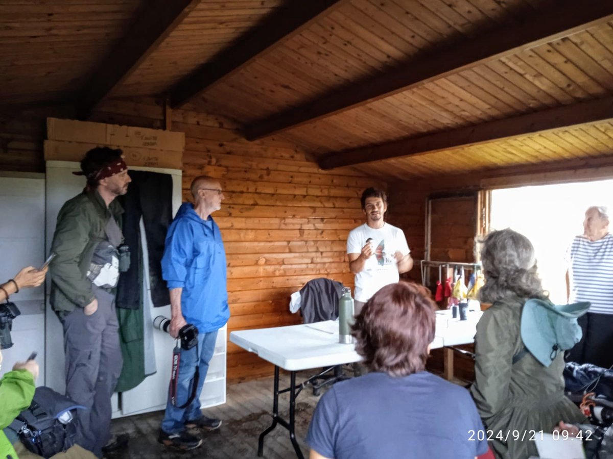 Tot i la pluja, la visita i anellament d'ocells a l'Alfacada en el marc del #DBF és una magnífica experiència.